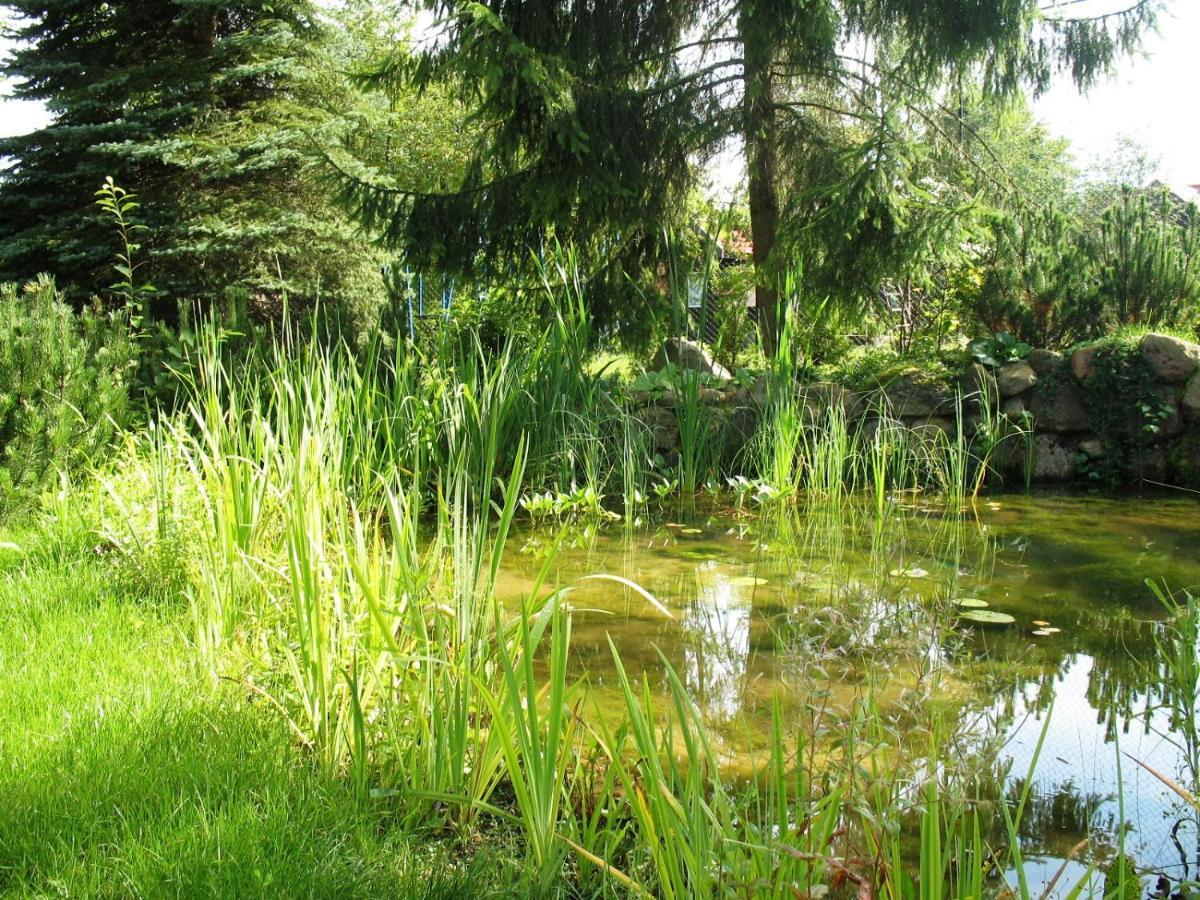 Hotel Ośrodek Szeligi Ełk Zewnętrze zdjęcie